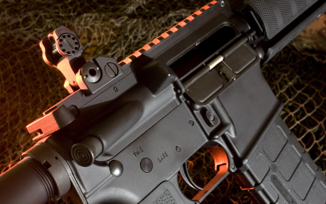Don’t Let the Politicians in Austin Ban Our AR-15’s!