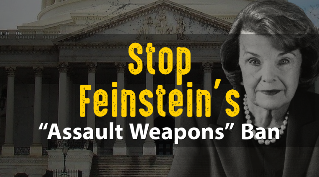 Stop Dianne Feinstein’s AR-15 Ban!