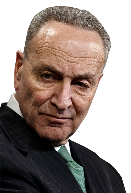 National Gun Registration Vote Coming TODAY!!