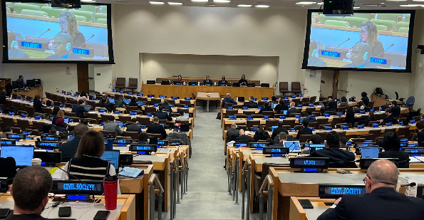 UN Small Arms Treaty Happening Today!