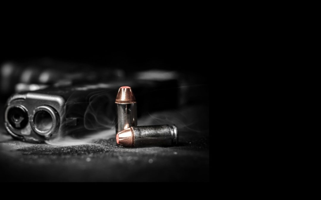 Gun Owner Survey: Where Do You Stand On These 2A Issues?
